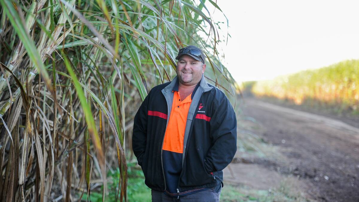 Childers cane growers full of confidence as harvest begins