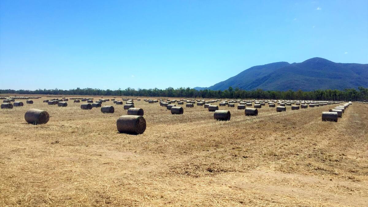 Ausgold Hay is being marketed by CBRE through an expressions of interest process closing on April 28.
