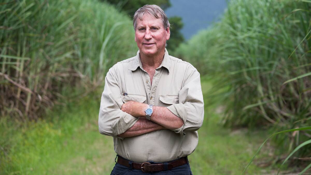 CANEGROWERS ELECTIONS: Drew Watson, who is stepping down after almost 30 years representing the Mossman region, is keen for new faces to take up the opportunity.