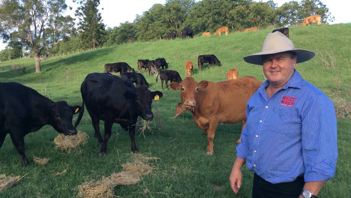 COOL, CALM and COLLECTED: Casino, NSW, butcher and cattle producer Grant Sheddon says Limousin cattle deliver an edge in retail beef sales. 
