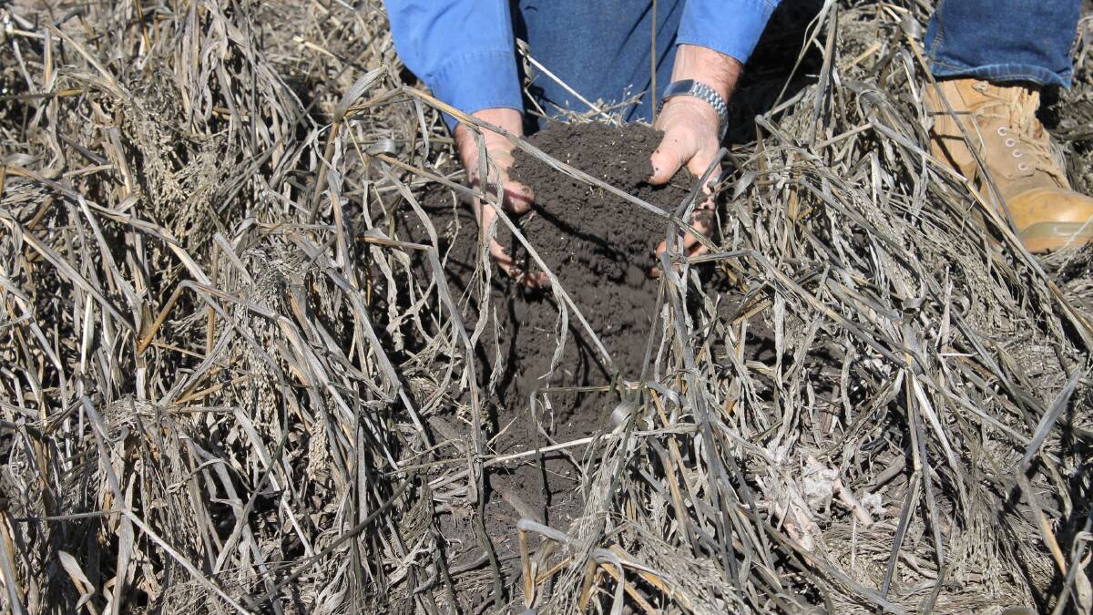 Belarka has deep, self-mulching waco soils.