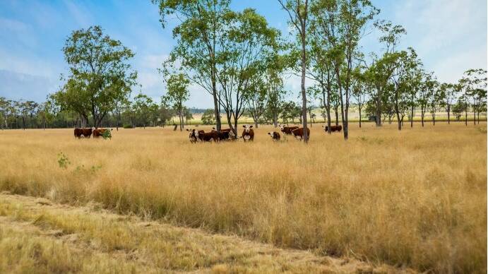 RAY WHITE RURAL: The 249 hectare inner Darling Downs property Glendon has sold before auction.