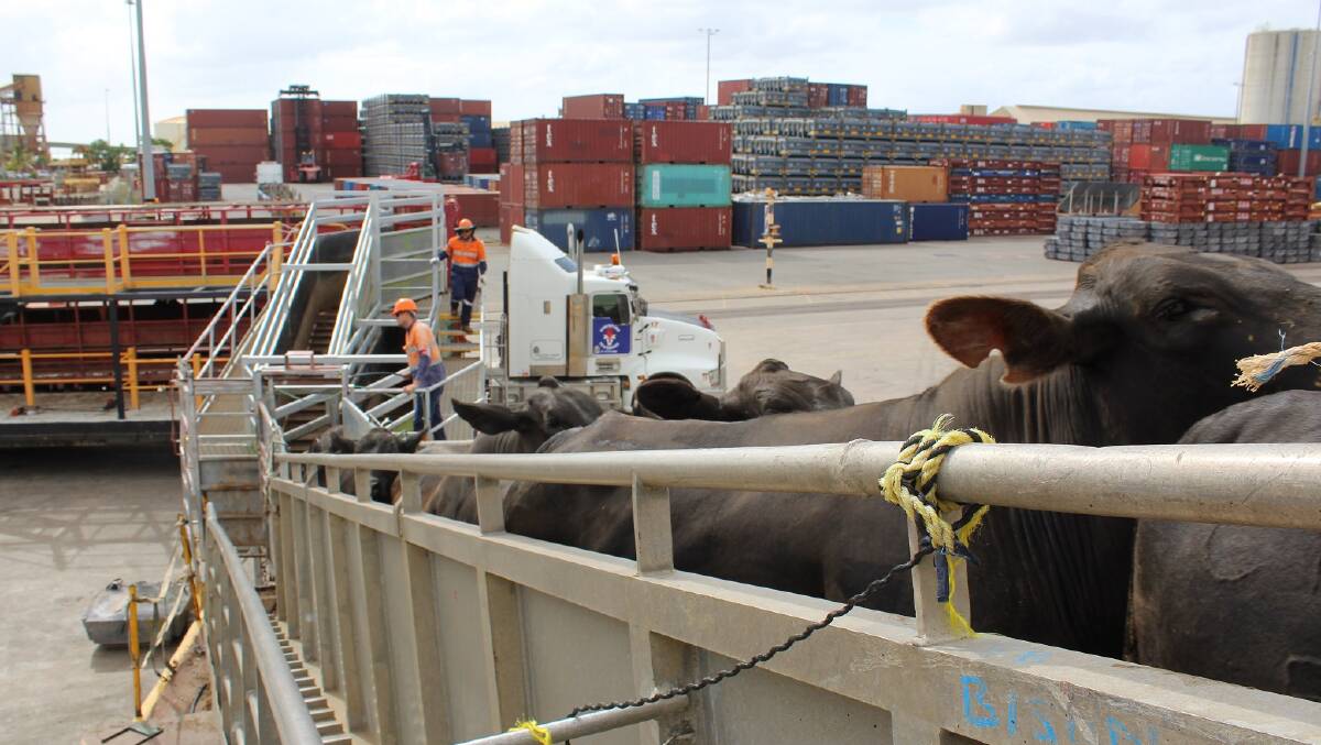 All exported livestock are covered by the Exporter Supply Chain Assurance System. 