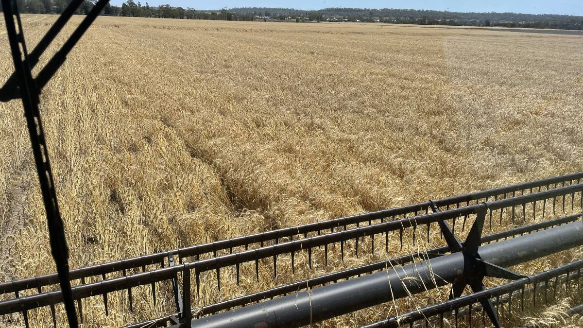 Grain growers are racing against storm weather to complete the harvest of this year's winter crop.