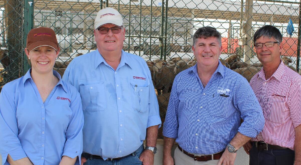 MARKET PERSPECTIVES: Sheepmeat Council of Australia chief executive officer Dr Kat Giles, with SCA president Jeff Murray, MLA international business manager Nick Meara, and SCA vice-president Allan Piggott in Oman in July.