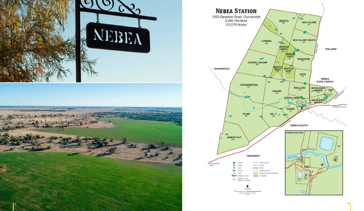 Naturally, Nebea’s big benefits flood in