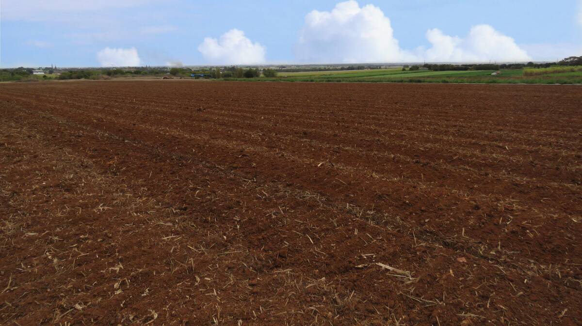 EXPRESSIONS OF INTEREST: Some 75 hectares of red soil farmland located only minutes from Bargara is on the market.