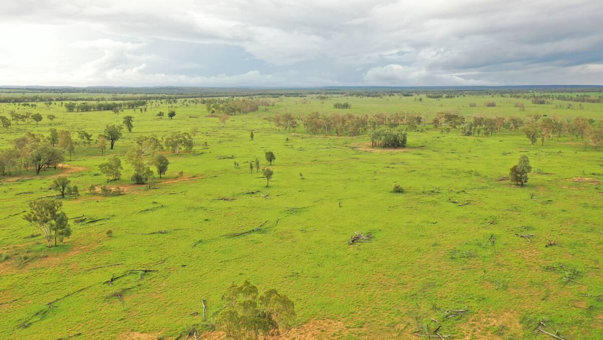 Mount Lonsdale comprises of a very attractive mix of downs and developed brigalow country.