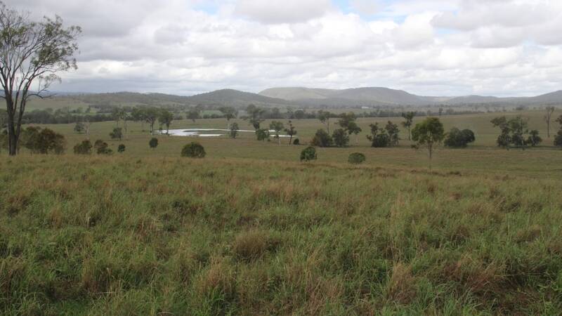 Rocklawn runs from iron bark and blue gum country, to black soil creek flats. 