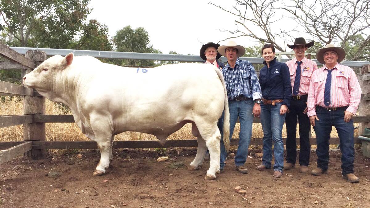 SALE TOPPER: Clare Mega Awesome (P) with Tony Pearce, TopX Taroom, Alan and Nat Goodland, Clare Charolais, and Cameron Bygrave and Rob Bygrave, TopX North Burnett. Awesome sold for $24,000 to Jason and Sue Salier’s Minnie Vale Charolais, Narrabri, NSW.