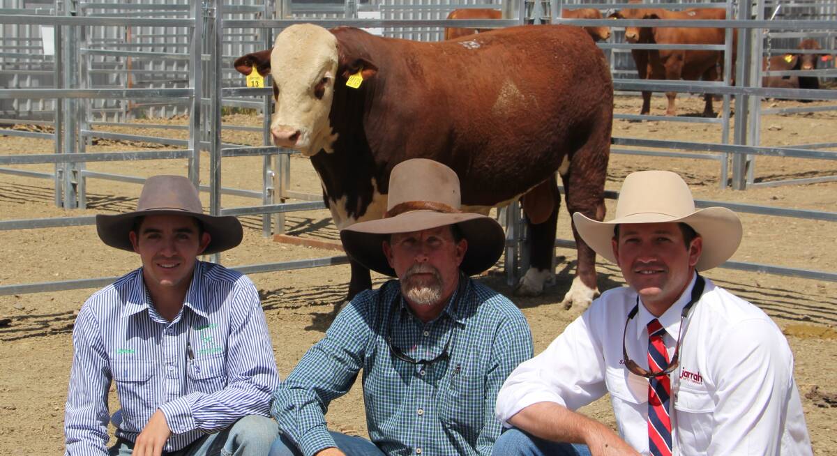 SALE TOPPER: The $12,000 top priced bull Jarrah Odyssey M125 (S) with Lawson and Billy Dunne, Tarcoola, Dingo, and Sam Becker, Jarrah Genetics, Banana.