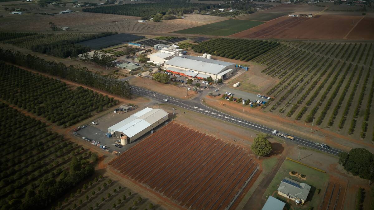 A multi-million-dollar expansion of Marquis Macadamias processing facility in the Bundaberg region has been approved.