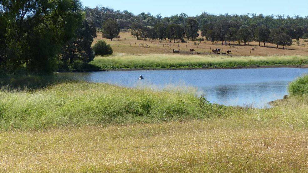 All of Kilto's 12 main paddocks have access to both dam and bore water.