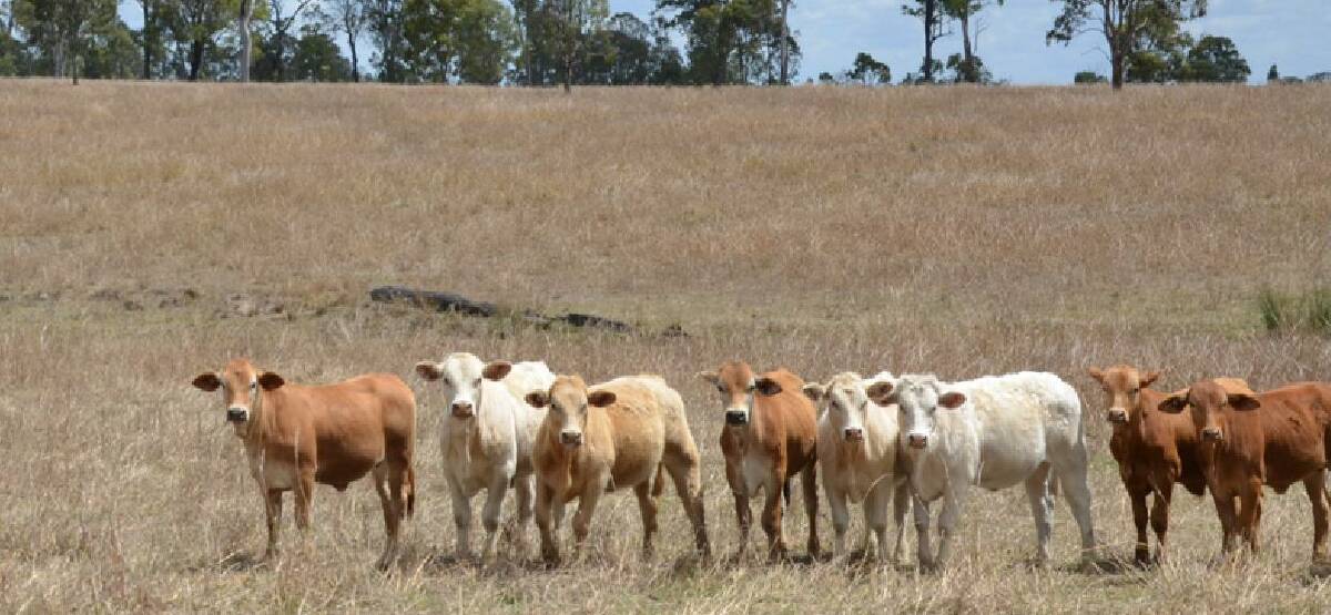 RAY WHITE RURAL: Childers district property Dunmaglas has been listed for sale at $1.4 million.