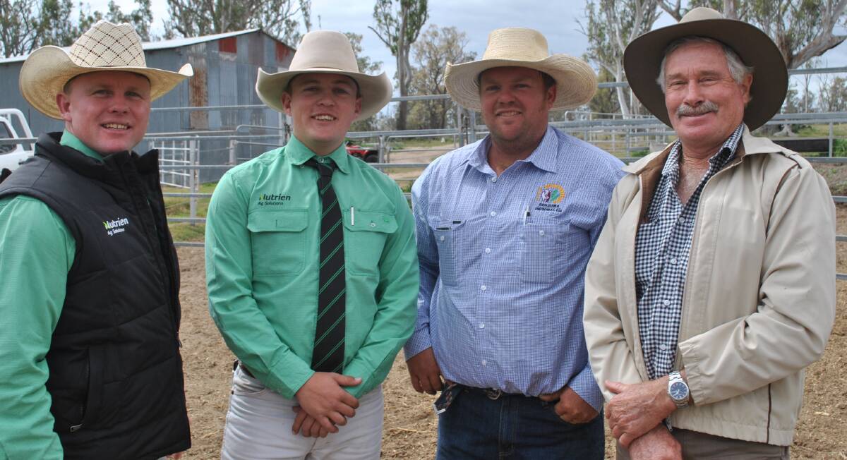 Colby Ede and Lachlan Darr, Nutrien Livestock, with Ben Passmore, Benjarra Limousins, Ellangowan, and top priced bull buyer Rodney Bailey, Yabbra Park, Old Bonalbo, NSW.
