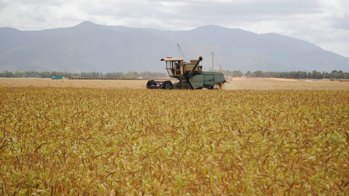 The North Queensland crop was harvested using a 1968 John Deere header.