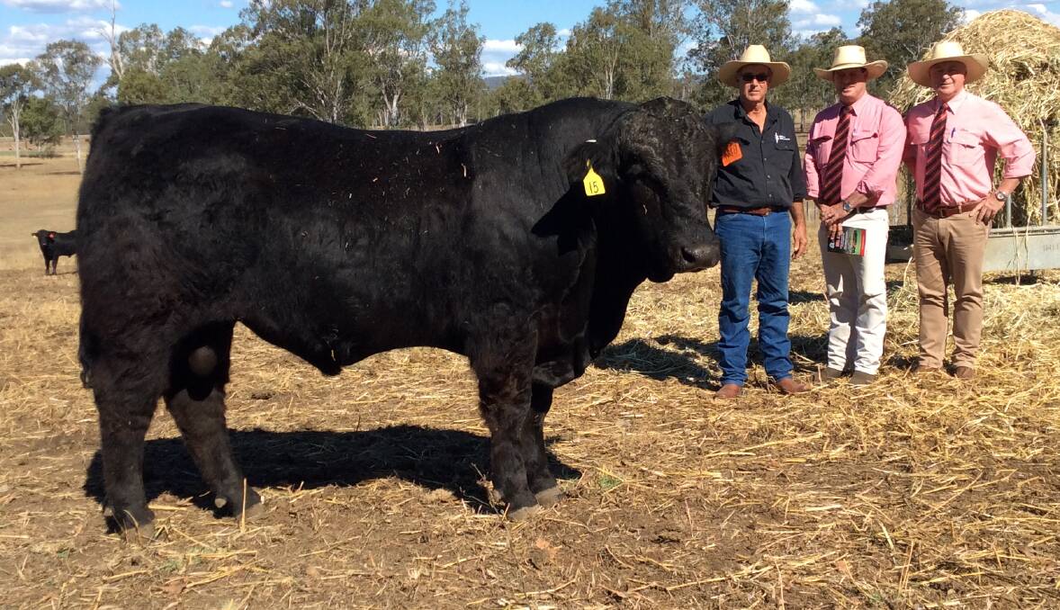 Sale topper at $7000, O'Sullivans New Orleans N48, with breeder Mick O'Sullivan and Michael Smith and Andrew Meara from Elders. 