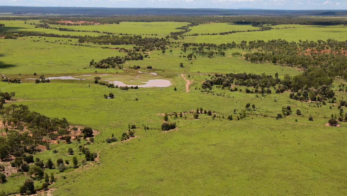 MAY 10 AUCTION: The top quality 6014 hectare Bauhinia district property Shauna Hills will be offered during Beef 2010. 