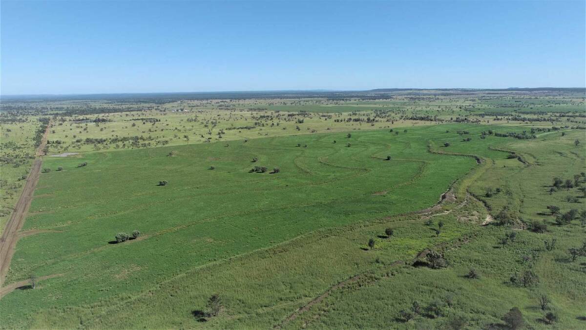 MARANOA COUNTRY: The auction of the highly developed Mitchell property Well Gully has been canceled.