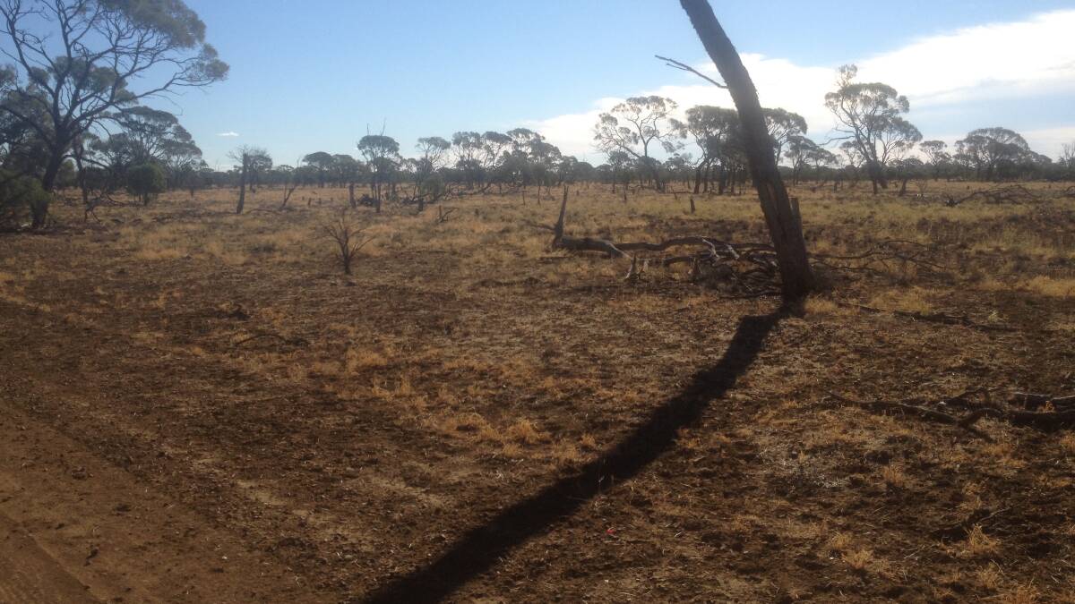 AGFORCE SURVEY: The impact of drought has been laid bare in survey of Queensland farmers. 