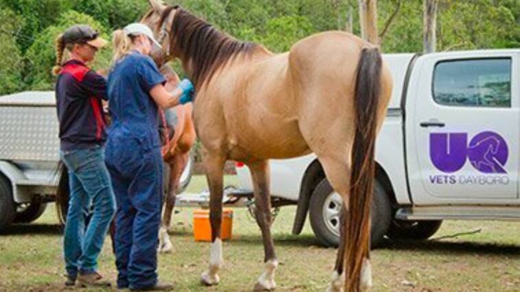 UQ has cited management and financial reasons for the planned closure of its Dayboro Veterinary Clinic. Photo - UQ 