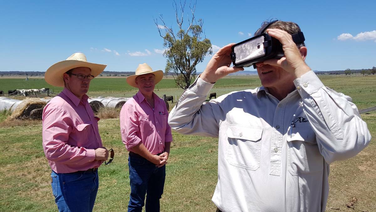 VIRTUAL REALITY: Ascot stud principal Jim Wedge (right) takes a new look at his sale bulls with Paul Holm and Andrew Meara from Elders.