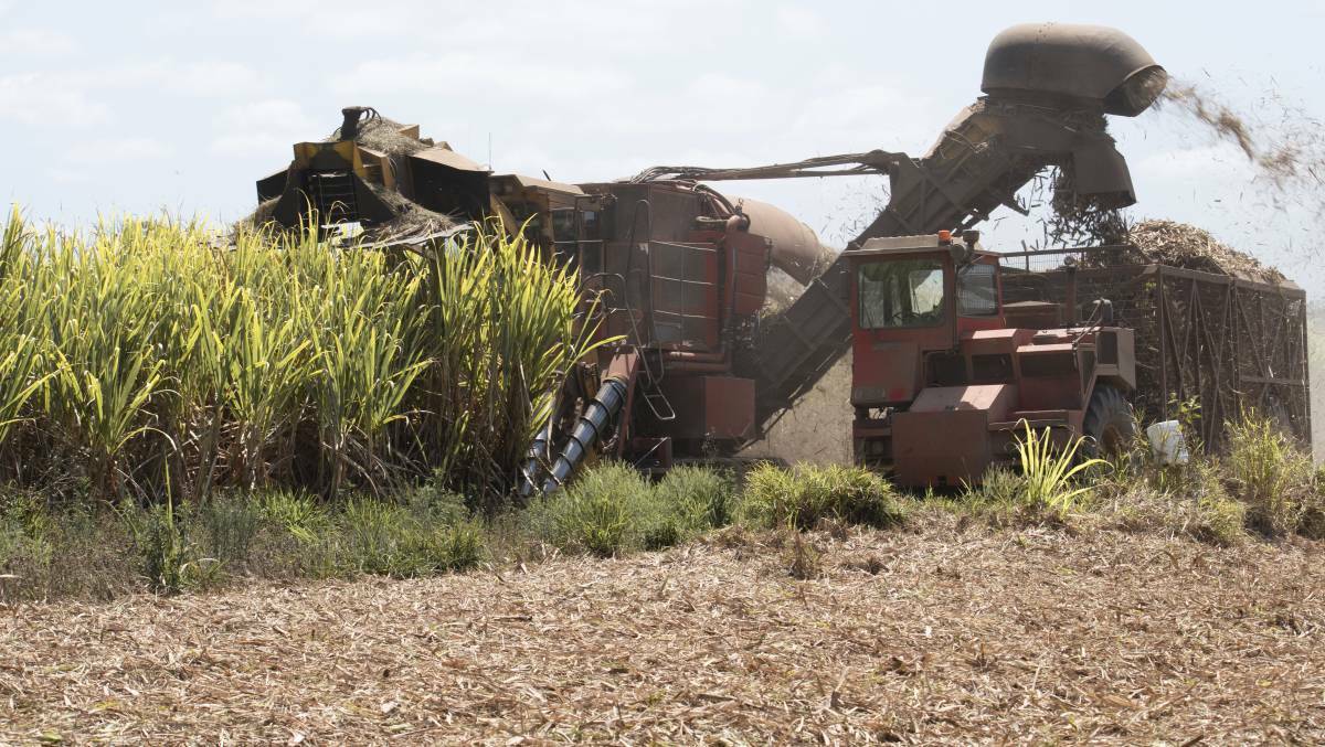 READY TO GO: Queensland's cane crop is now tipped to reach almost 30 million tonnes.