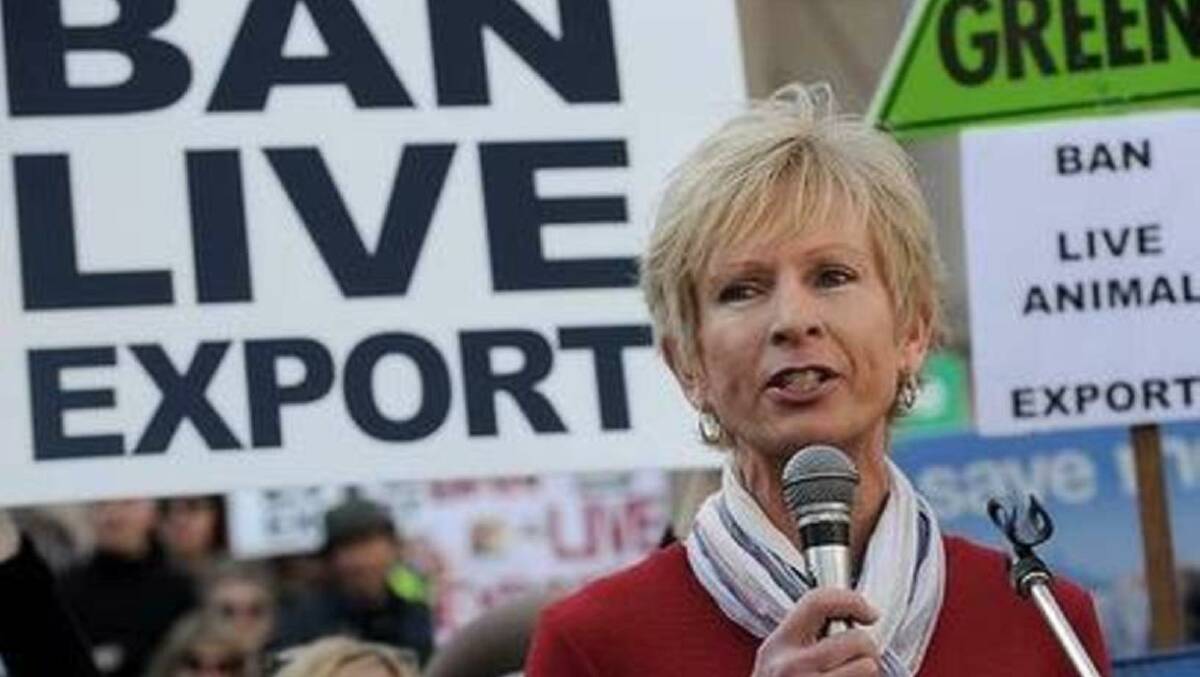 Animals Australia's Lynn White campaigning against live exports in 2011. 