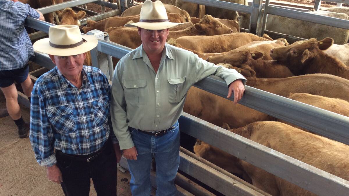 Father and son team Paul and Stephen Boland, East Coraki, with their champion pen of Charolais steers.