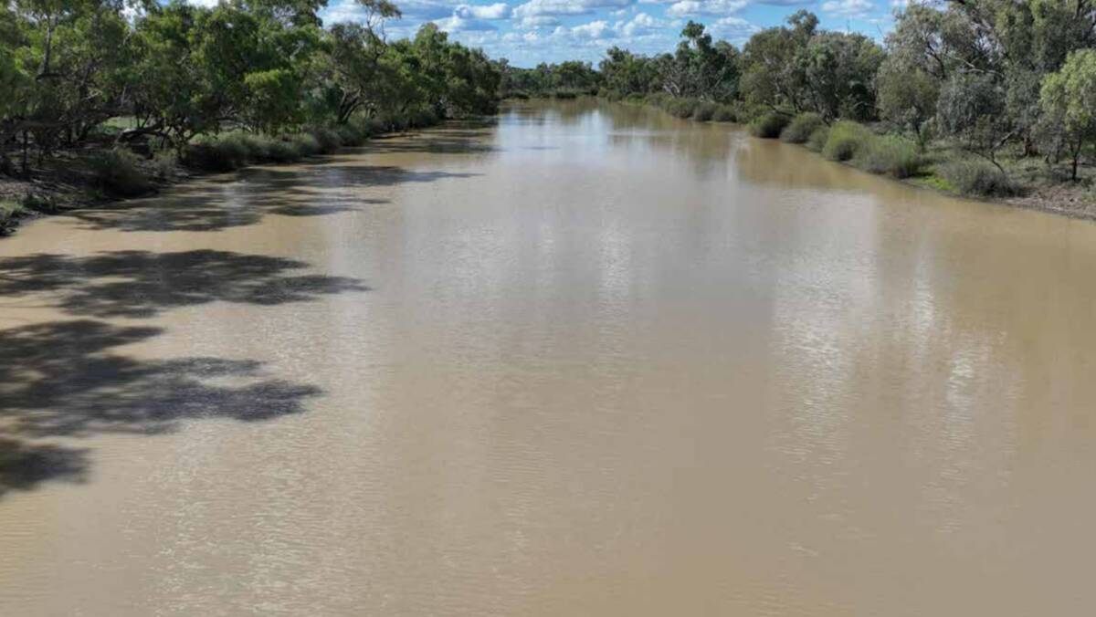 The securely watered aggregation has a 15km of double frontage to the Barcoo River. Picture supplied