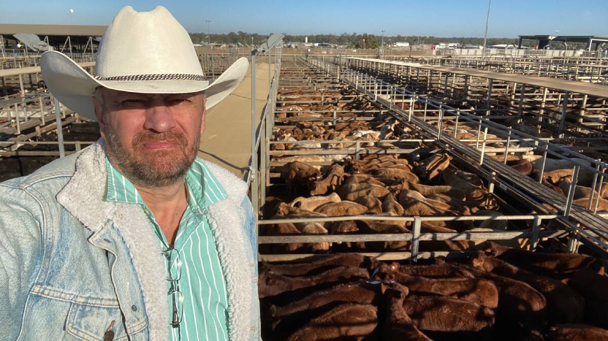 Andrew Murray, Kindee Pastoral Company, sold 1400 Angus/Santa/Charolais weaners at Roma, with steers averaging 450c and heifers 420c. 