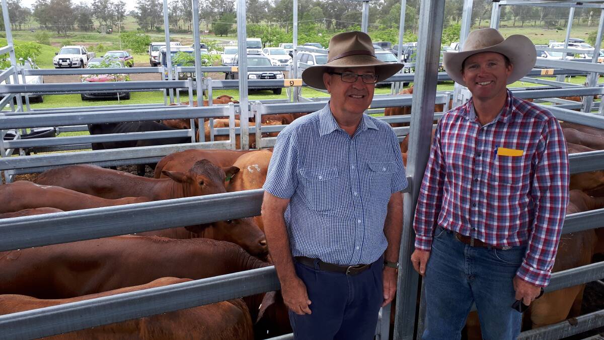 BEAUDESERT SALE: David Kassulke and Todd Smith from AJ Bush and Sons, Bromelton, who sold Droughtmaster steers aged 18 months for $1370.