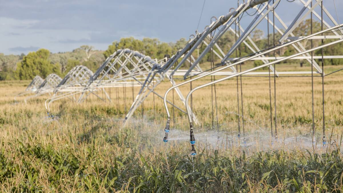 Acland Pastoral Company uses wastewater from the Wurtulla treatment plant in Tooowoomba.