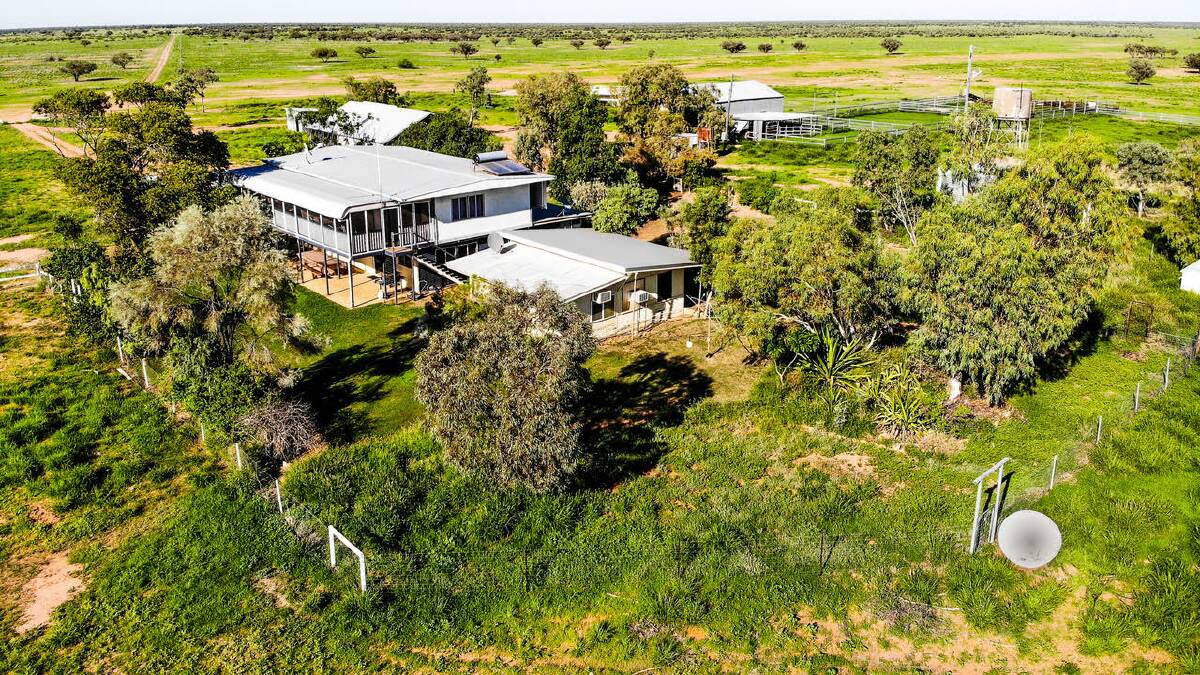 The central western Queensland grazing property Withywine has been listed for $2.9 million.