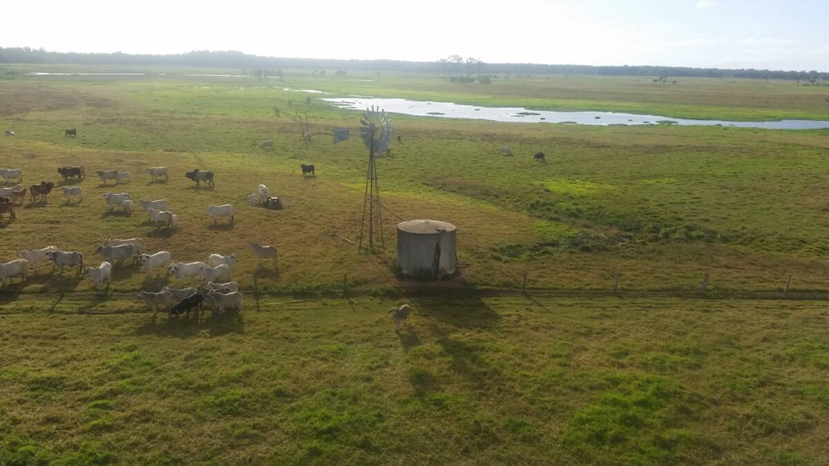 Water is supplied from three equipped bores and natural swamp country. Picture supplied