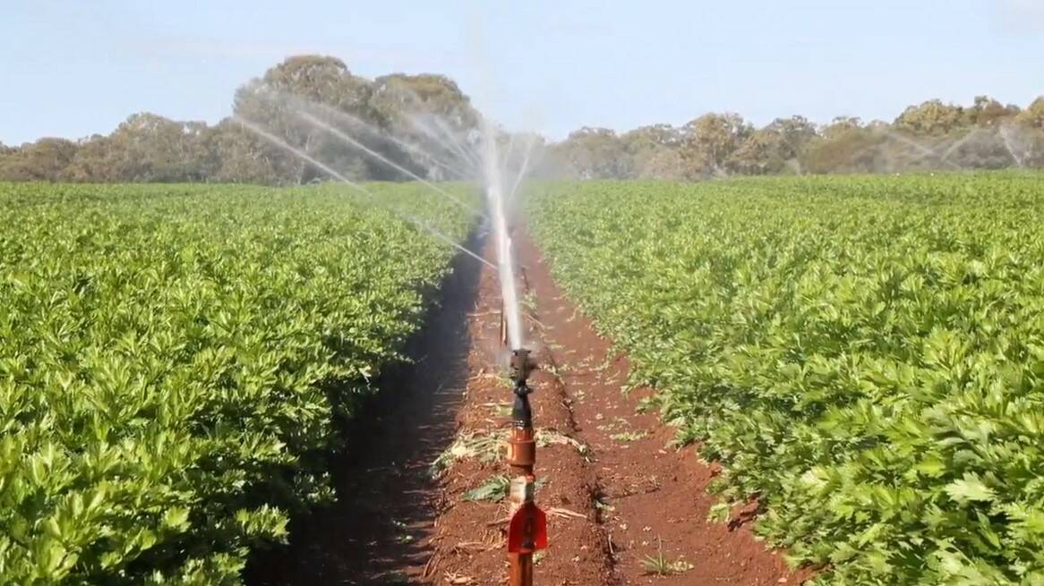The Granite Belt Irrigation Project near Stanthorpe has reached the important Go/Stop/Pause decision point.