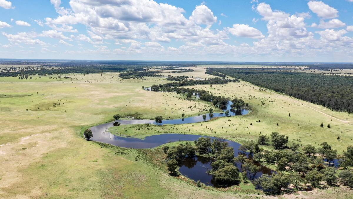 Tarawindi is 1886 hectares of versatile grazing country well suited to breeding and backgrounding. Picture supplied