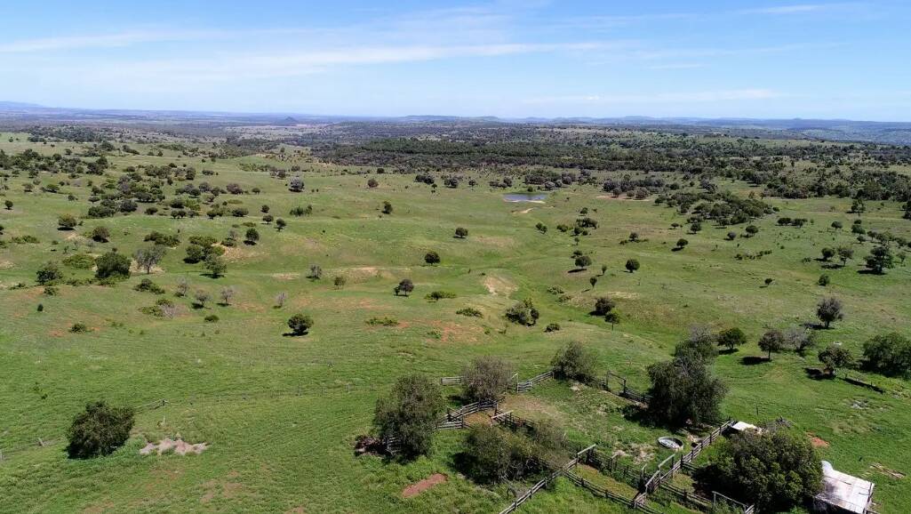 RAY WHITE RURAL: The 257 hectare Thangool property Hillcrest has sold at auction for $1.425 million.