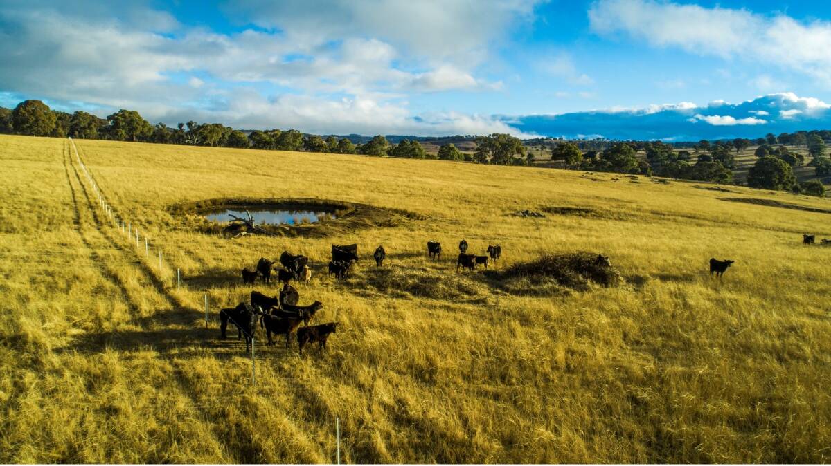 COLLIERS INTERNATIONAL: Large-scale New England cattle breeding property Glendon Park is on the market.