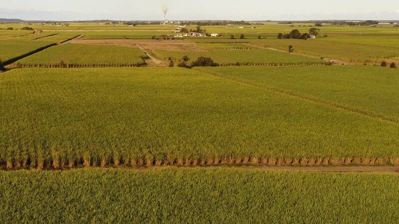 CBRE: A 43 hectare cane farm at Woongoolba has sold at auction for $1.51 million.
