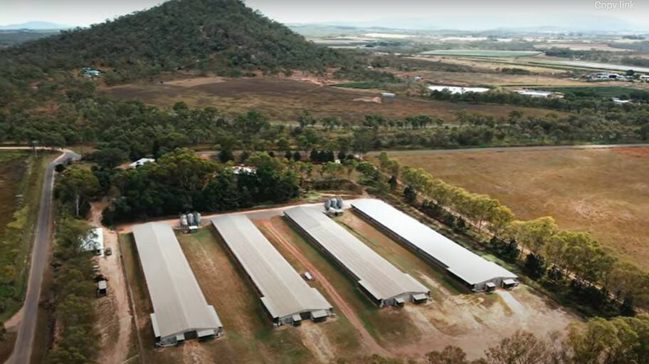 Ray White Rural: North Queensland's Mount Abbott Poultry Farm will be auctioned in Brisbane on September 24. 