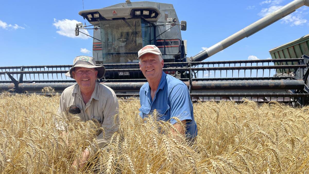 Jondaryan graingrower Russell Grundy and Southbrook based farm mechanic Edward van der Velde in the crop of Reliant prime hard wheat. 