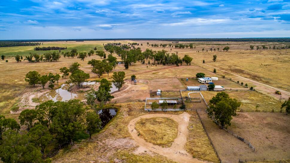 COLLIERS INTERNATIONAL: The 3138 hectare Moonie property Wattlevale is being sold through an expression of interest process.