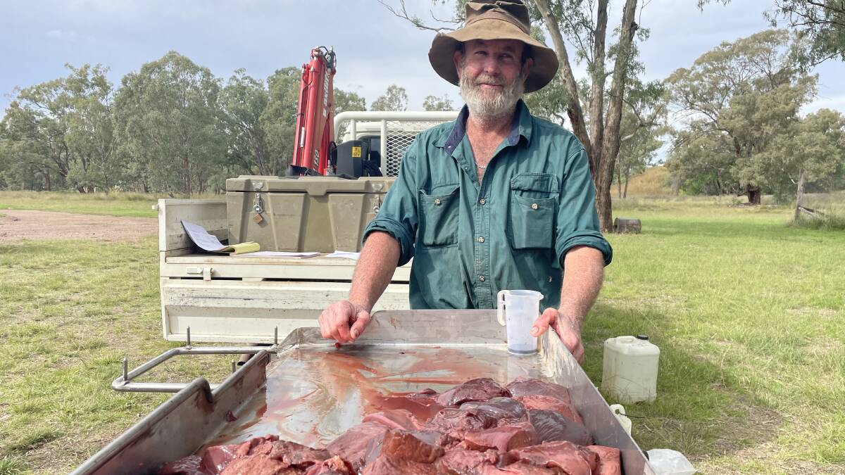 Traprock country grazier Alan Forrest says feral pigs populations can only be effectively controlled if landholders have access to tools including yellow phosphorus and 1080 poisons. 