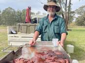 Traprock country grazier Alan Forrest says feral pigs populations can only be effectively controlled if landholders have access to tools including yellow phosphorus and 1080 poisons. 