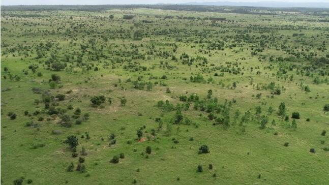 Hewitt Cattle Australia's Charters Towers property Mount Cooper was passed in at auction for $15 million.