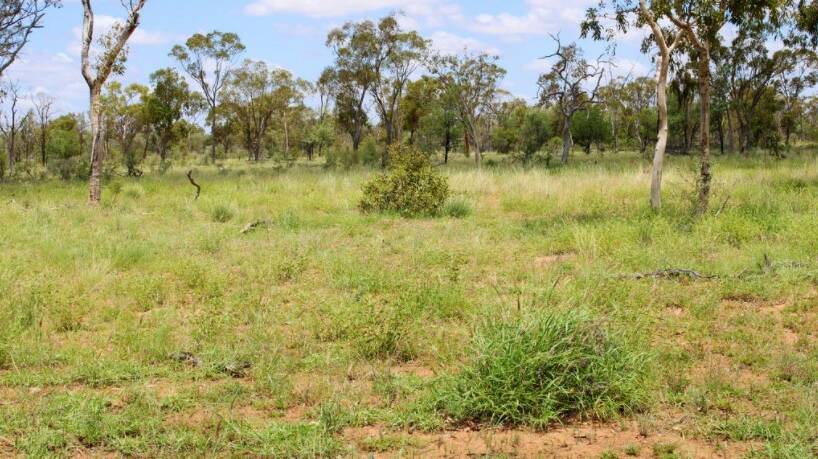 Jericho property Mundaroo has sold at an Elders auction for $865,000.
