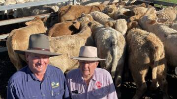 RED HOT: John Luck, Mount Mort, and his champion pen of steers at the Toogoolawah weaner sale with Dick Boyd, Shepherdson and Boyd.