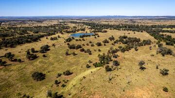Hourn and Bishop Qld: Theodore property Malo will be auctioned in Moura on September 29.