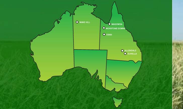 Western Grazing operates six properties, five of which are in Queensland. 